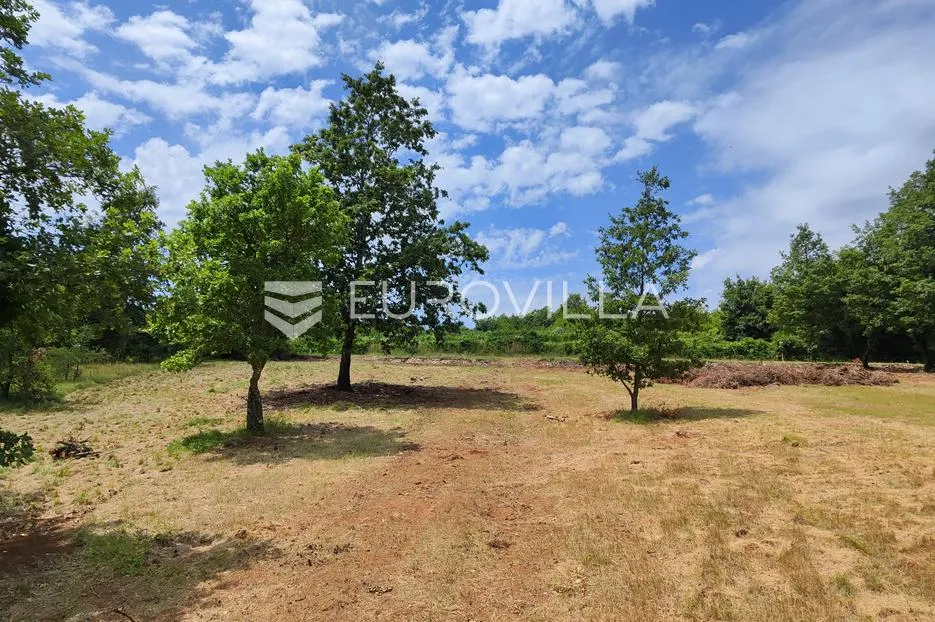 barban, rojnići, prekrasno pravokutno građevinsko zemljište 910 m² - slika 9