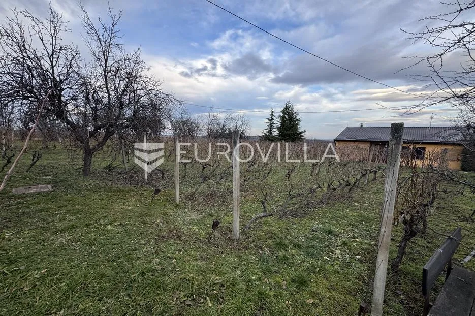 mandićevac, prekrasna vikendica 115 m² sa vinogradom i voćnjakom - slika 6