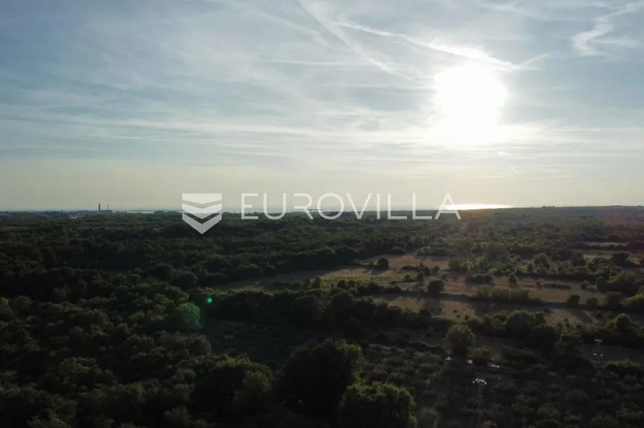 Istra, Vodnjan, kombinacija građevinskog i poljoprivrednog zemljišta sa šumom, rijetkost na tržištu