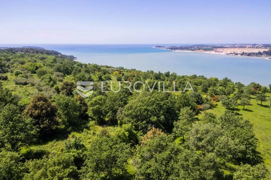 istra, tar - građevinsko zemljište 1. red do mora sa panoramskim pogledom - slika 2