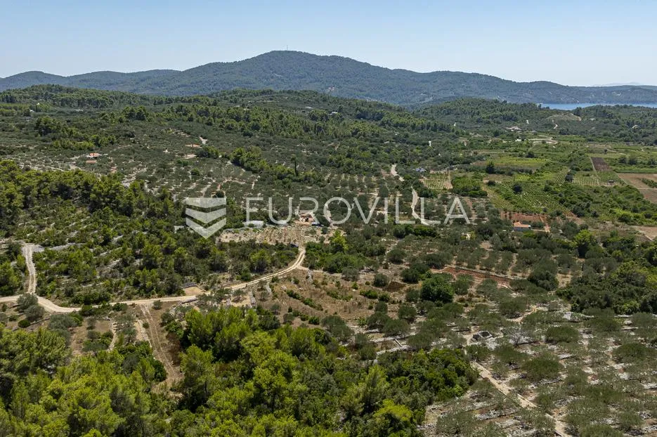 Otok Korčula, Vela Luka, poljoprivredno zemljište 980 m²