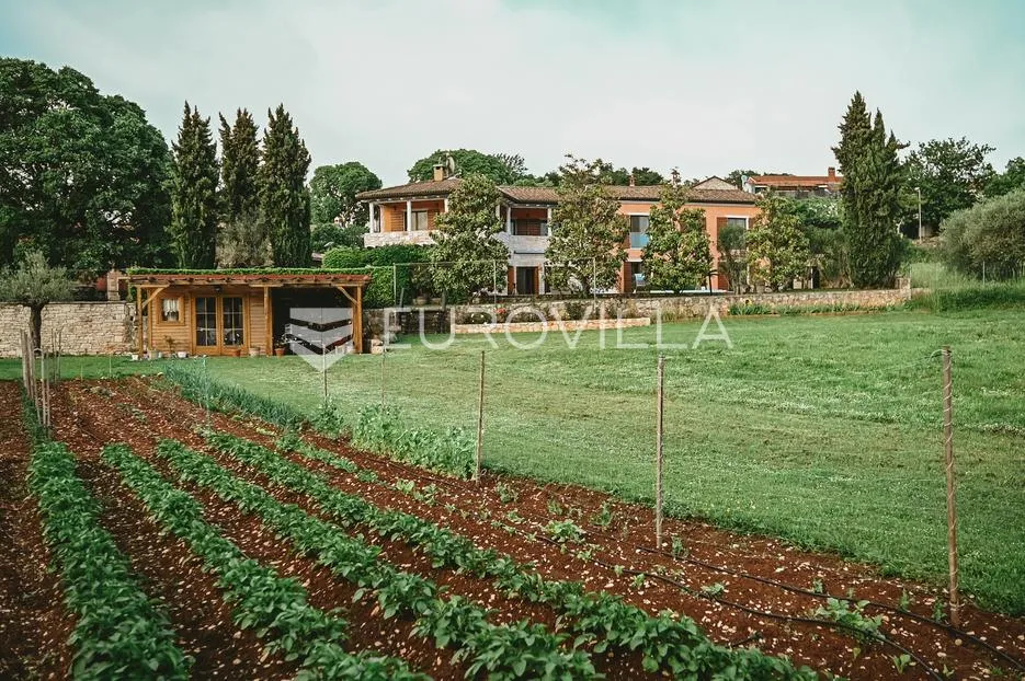istra, šorići, luksuzna kamena kuća, 388 m², s bazenom i građevinskim zemljištem 4621 m² - slika 62