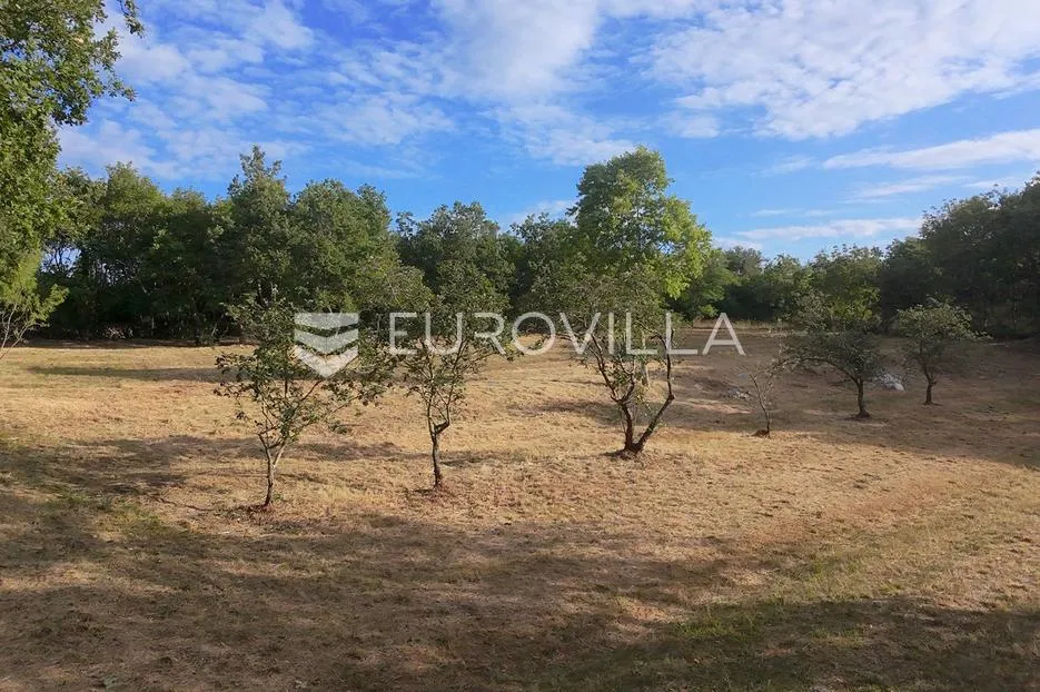 istra, tinjan, građevinsko zemljište nkp 3623 m2 - slika 8