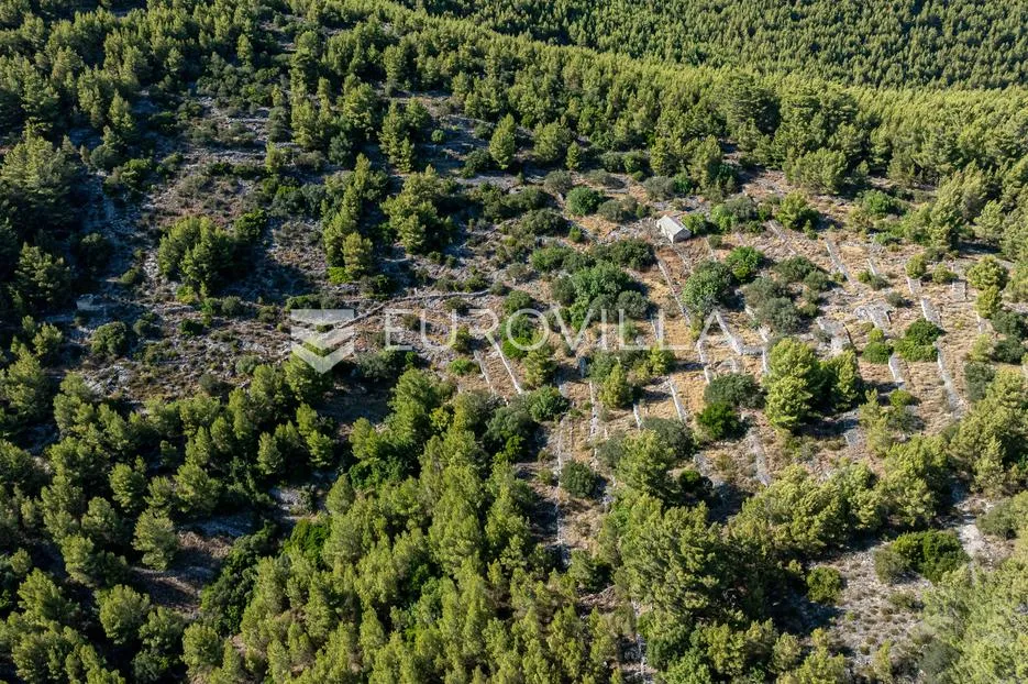 otok korčula, blato, uvala grčćica, poljoprivredno zemljište sa kamenom kućom - slika 6