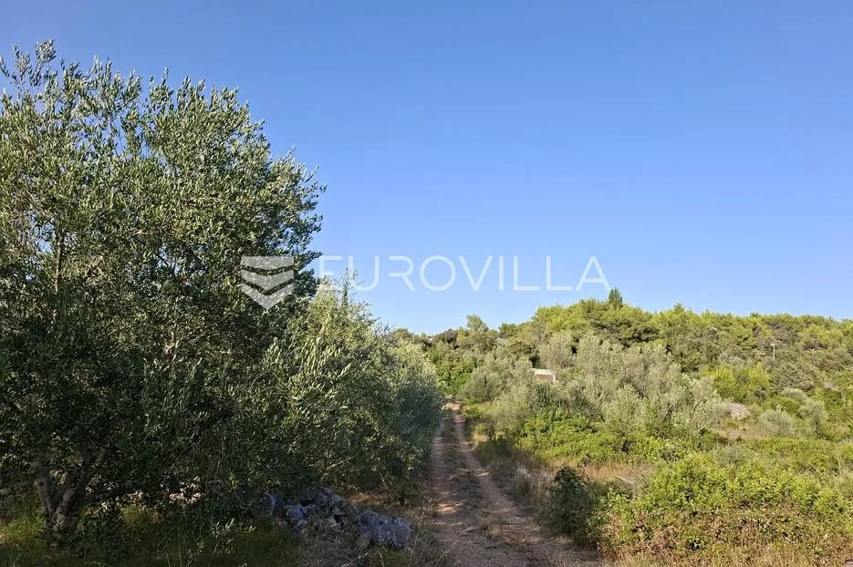 pašman, ždrelac, zemljište na atraktivnoj lokaciji - slika 4