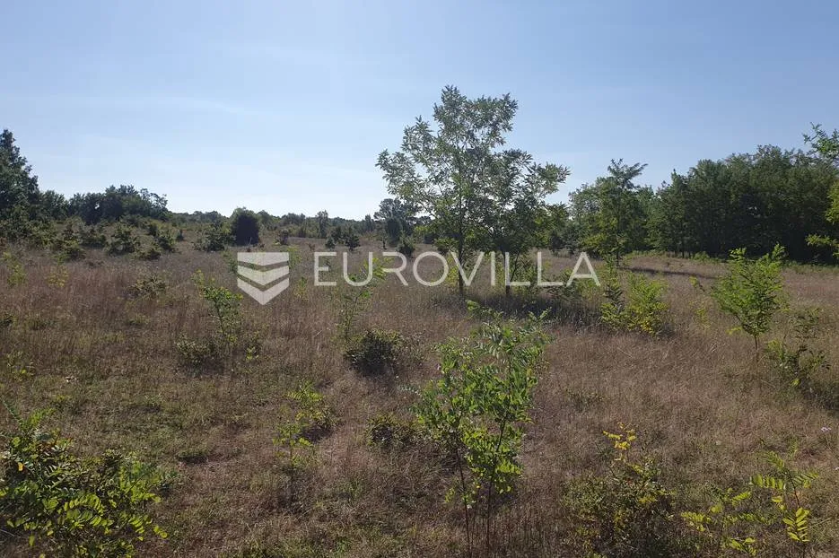 istra, baderna, poljoprivredno zemljište 12.120m2 - slika 12