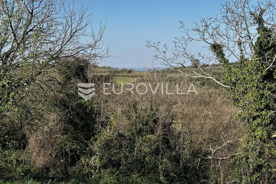 istra, momjan, rijetka prilika kamena kuća s projektom i pogledom na more - slika 10