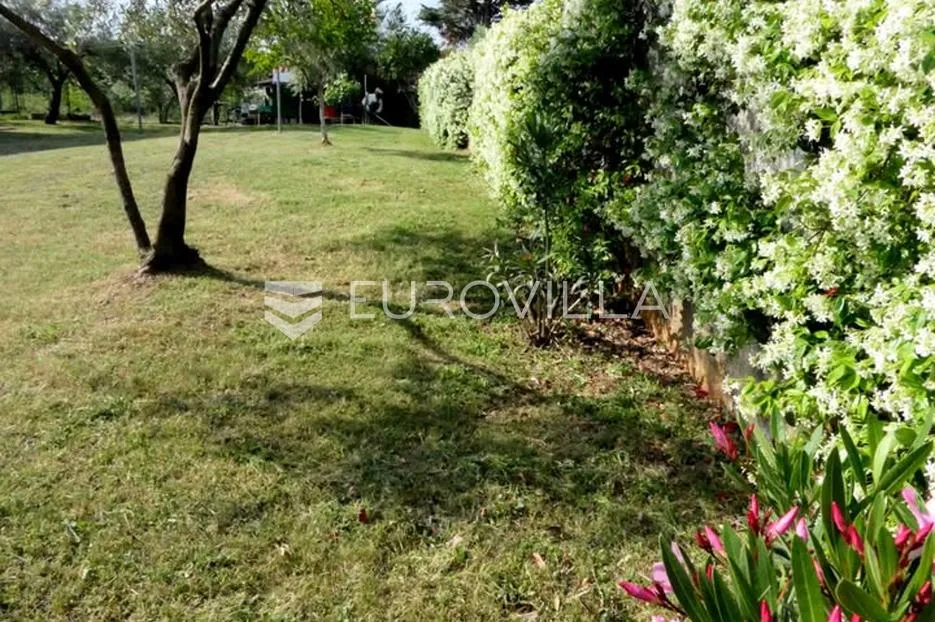 istra, buje okolica, šarmantna samostojeća kuća s velikom okućnicom i investicijskim potencijalom - slika 10
