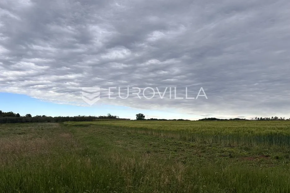 istra, staniši, stara kamena kuća s građevinskim i poljoprivrednim zemljištem - slika 5