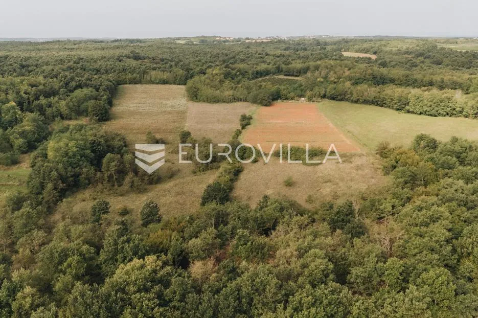 istra, okolica višnjana, luksuzna kamena vila s grijanim bazenom i prostranim imanjem - slika 7