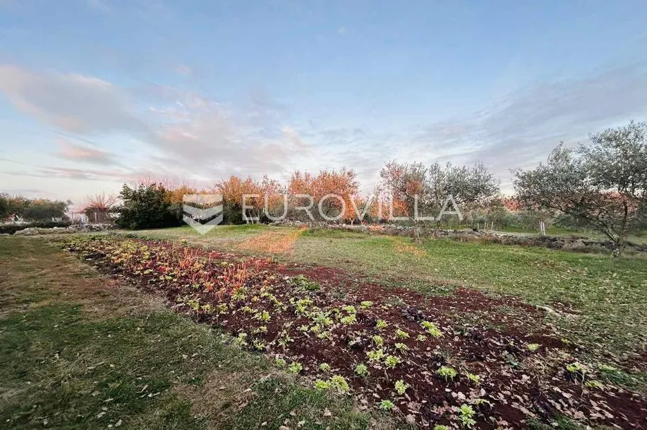 istra, buje, građevinsko zemljište - slika 2