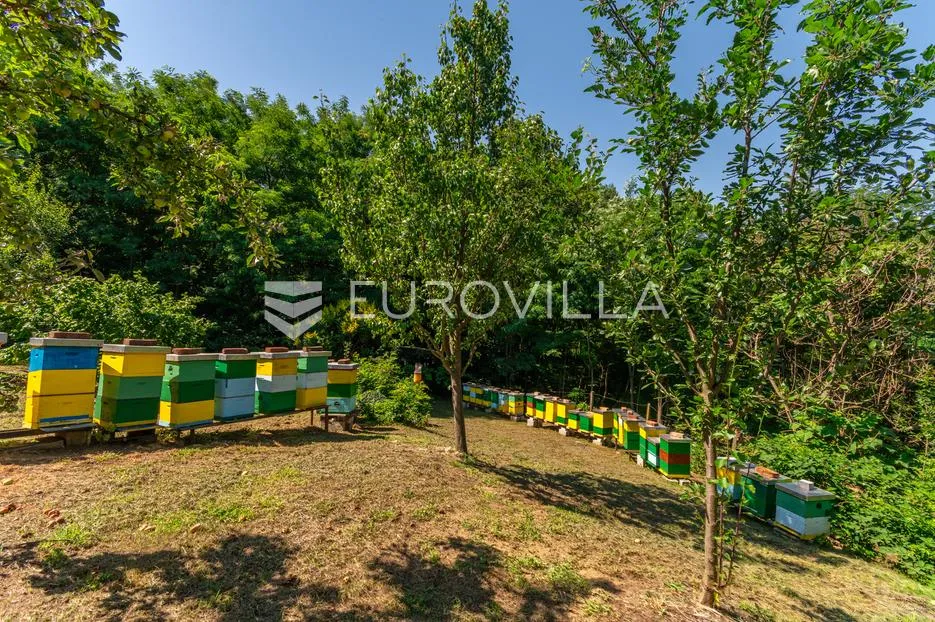novigrad podravski, borovljani, vikendica s potencijalom na odličnoj lokaciji - slika 14