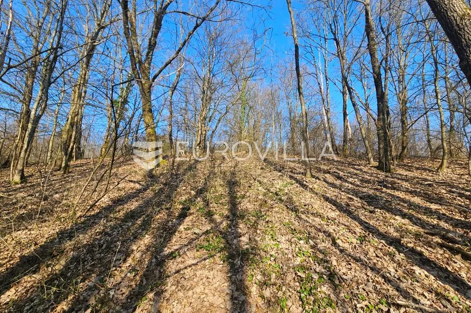 Velika gorica, zemljište 6.802 m², Babićev brijeg i Katin grob | Mir, priroda i potencijal za OPG - Turopolje, Velika Gorica