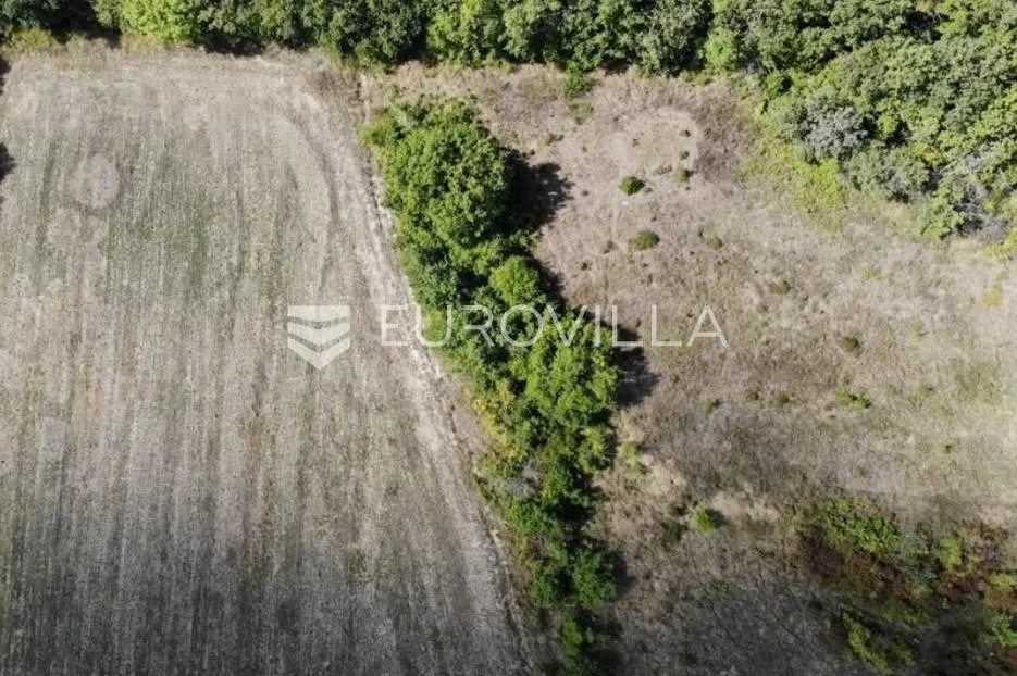 istra, predivno zemljište 26.700 m² pogodno za vinograd sa vinskim podrumom - slika 7