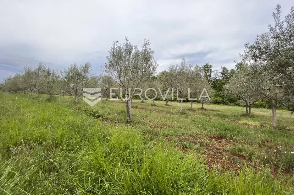 istra, juricani, građevinsko zemljište 860m2, okolica umaga - slika 3