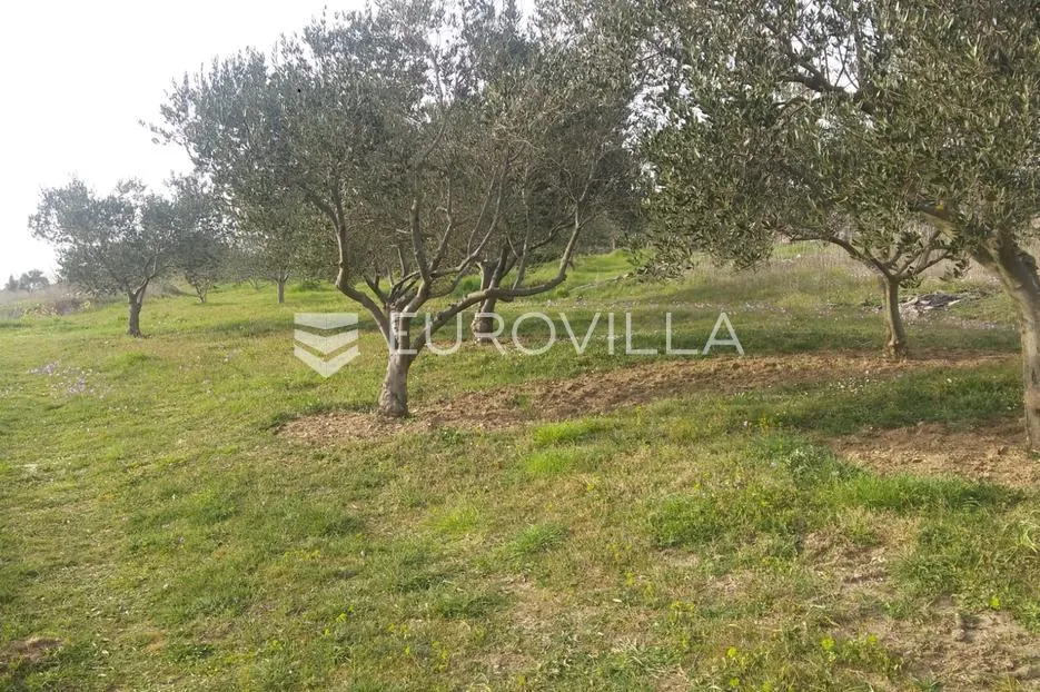 zadar, crno, moderna vila na predivnoj privatnoj lokaciji - slika 38