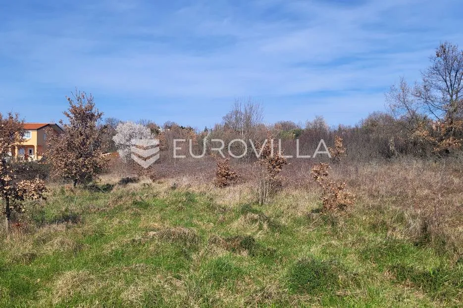 poreč, nova vas, veliko poljoprivredno zemljište 8640 m2 - slika 3