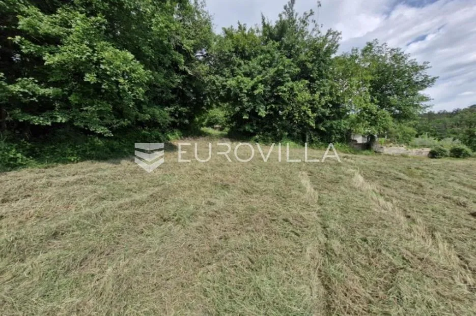 buzet, črnica, građevinsko i poljoprivredno zemljište 1393 m² - slika 2