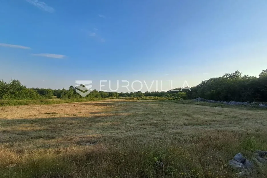 istra, rovinj okolica, poljoprivredno zemljšte 10038m2 na 200m metara od mora - slika 14