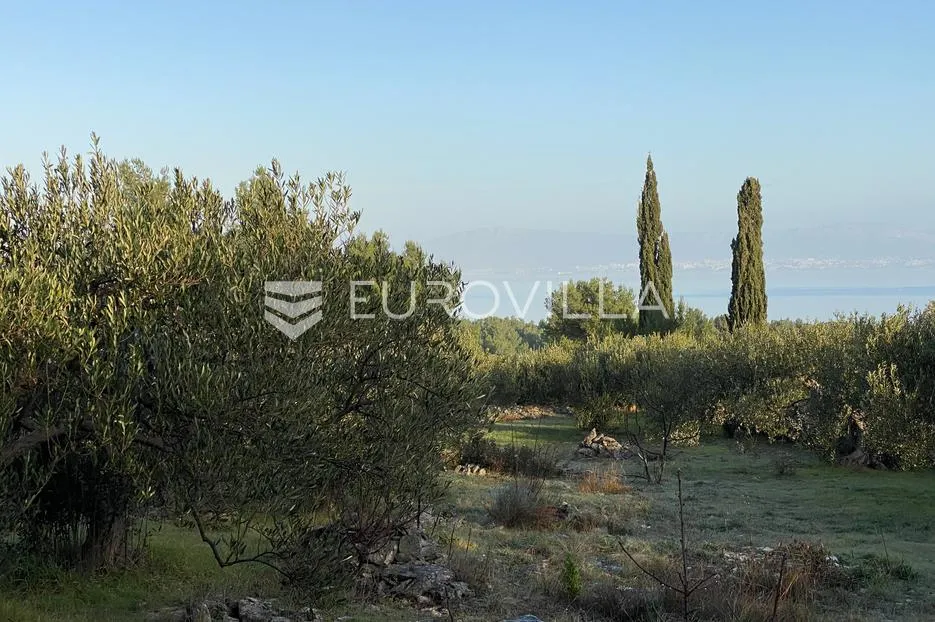 Brač, Mirca, poljoprivredno zemljište - Sutivan