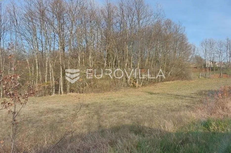žminj, veliko poljoprivredno zemljište uz sami asfalt i vile s bazenima - slika 5