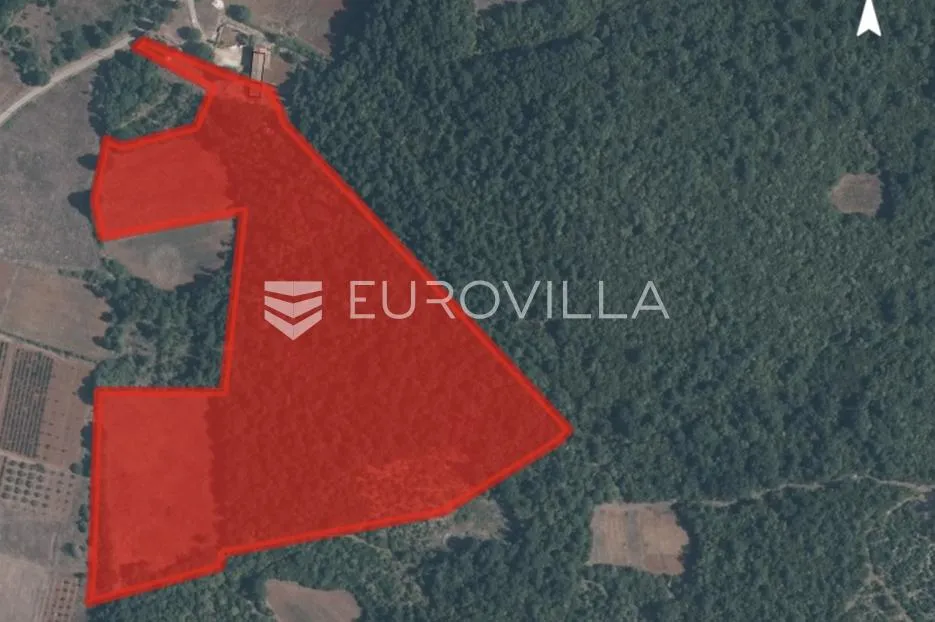 istra, sveti lovreč okolica, građevinsko 538m2 i poljoprivredno zemljište ukupne površine 48294m2 - slika 11