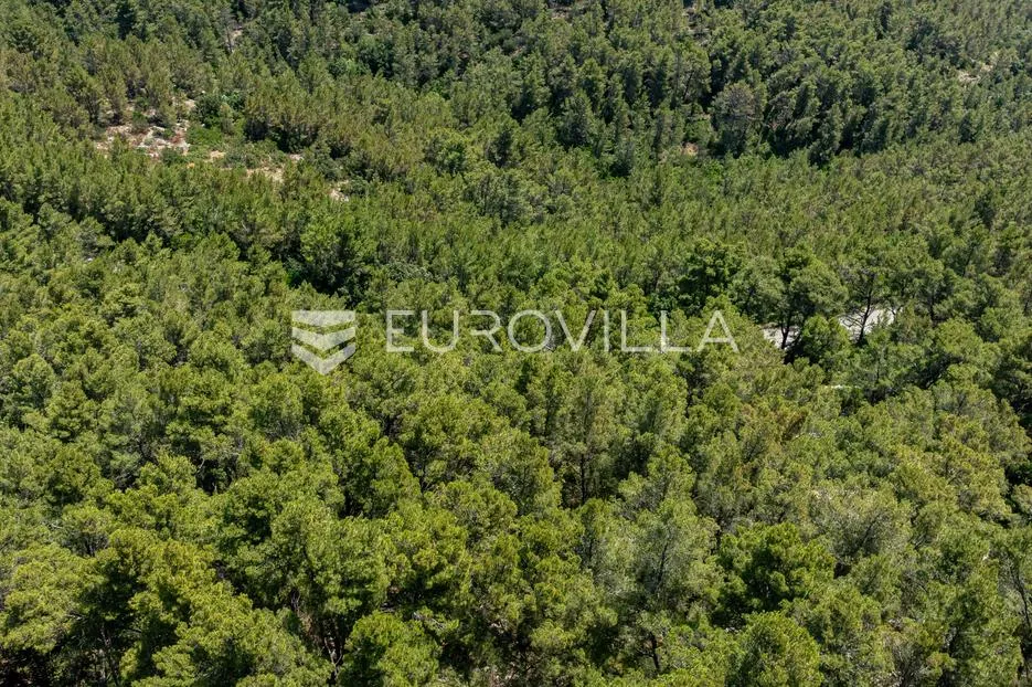 otok korčula, blato, poljoprivredno zemljište u blizini prigradice - slika 9
