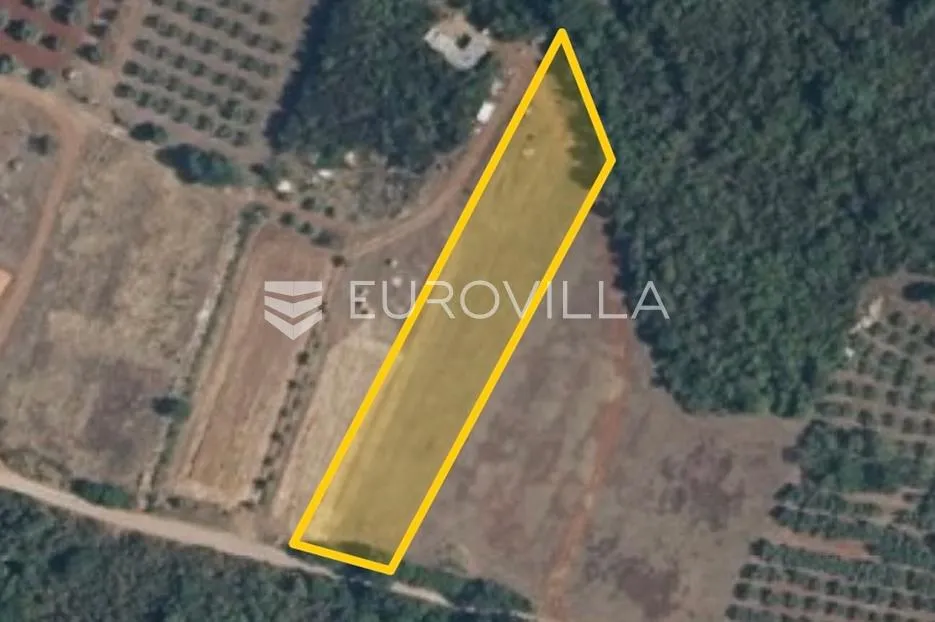 Istra, Muntić poljoprivredno zemljište u blizini centra - Muntić, Ližnjan