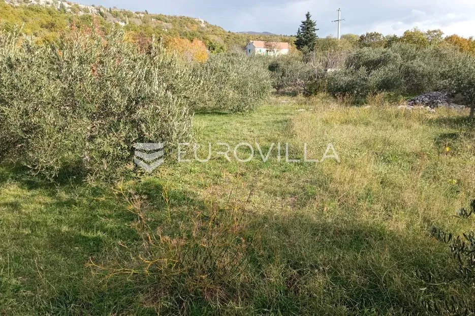 šestanovac, atraktivna parcela uz put, 4200 m², mogućnost obročne otplate - slika 3