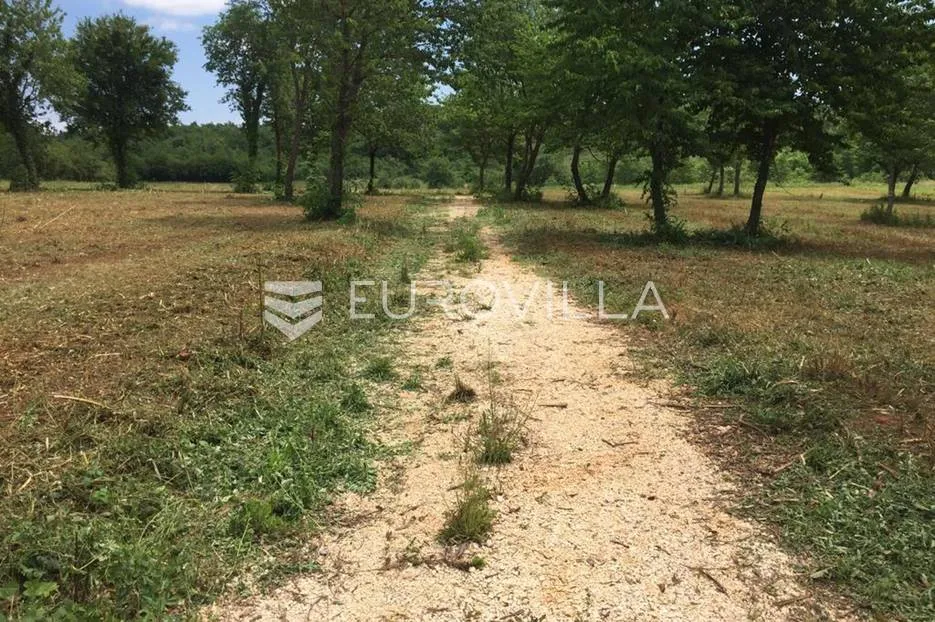 poreč, veliko građevinsko zemljište nkp 8289 m2, više građevinskih parcela pravilnog oblika - slika 2