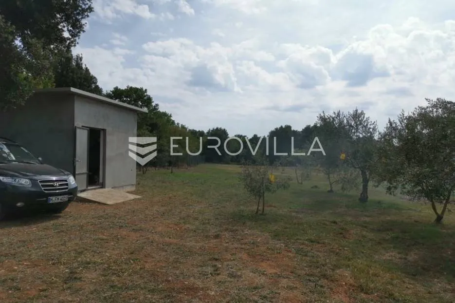 rovinj, poljoprivredno zemljište veličine 4798 m2 sa upisanim objektima - slika 4