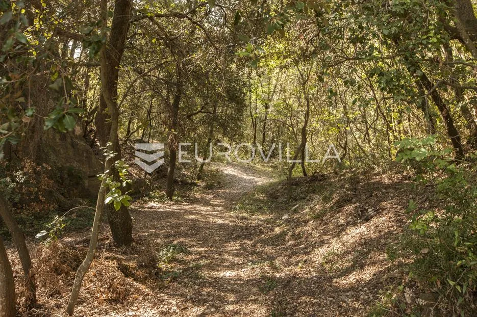 istra, pula, kuća za odmor s vlastitom šumom - slika 21