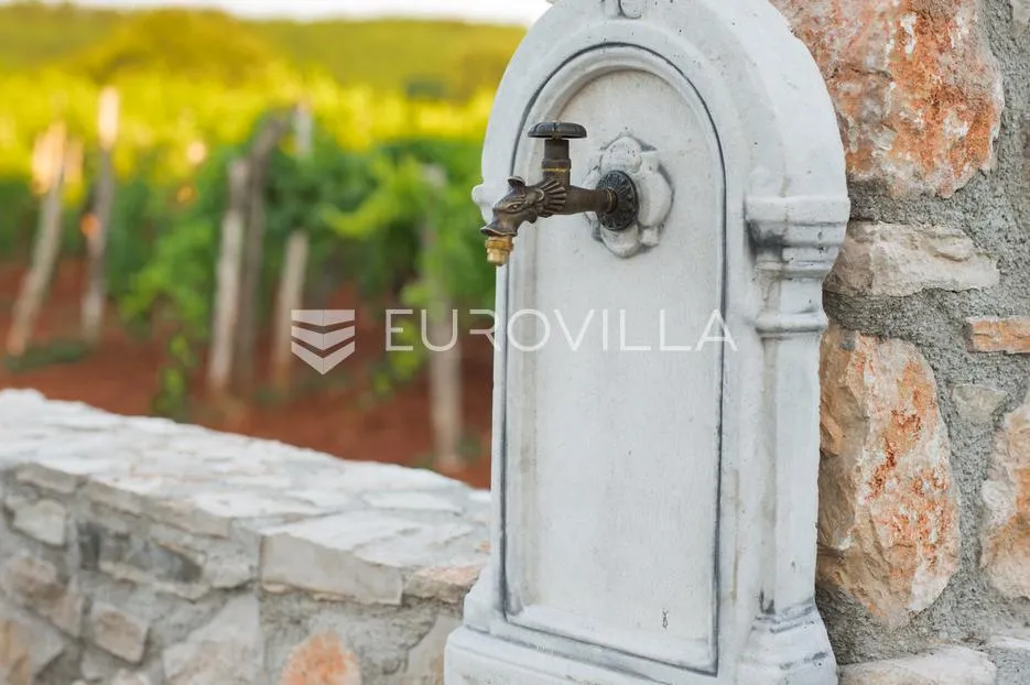 istra, umag, autentična istarska kamena kuća 260 m², okružena zelenilom, 1349 m² okućnice - slika 16