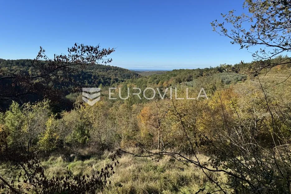 istra, grožnjan, građevinsko zemljište 1529m2 s idejnim projektom za gradnju vile s infinity bazenom - slika 14