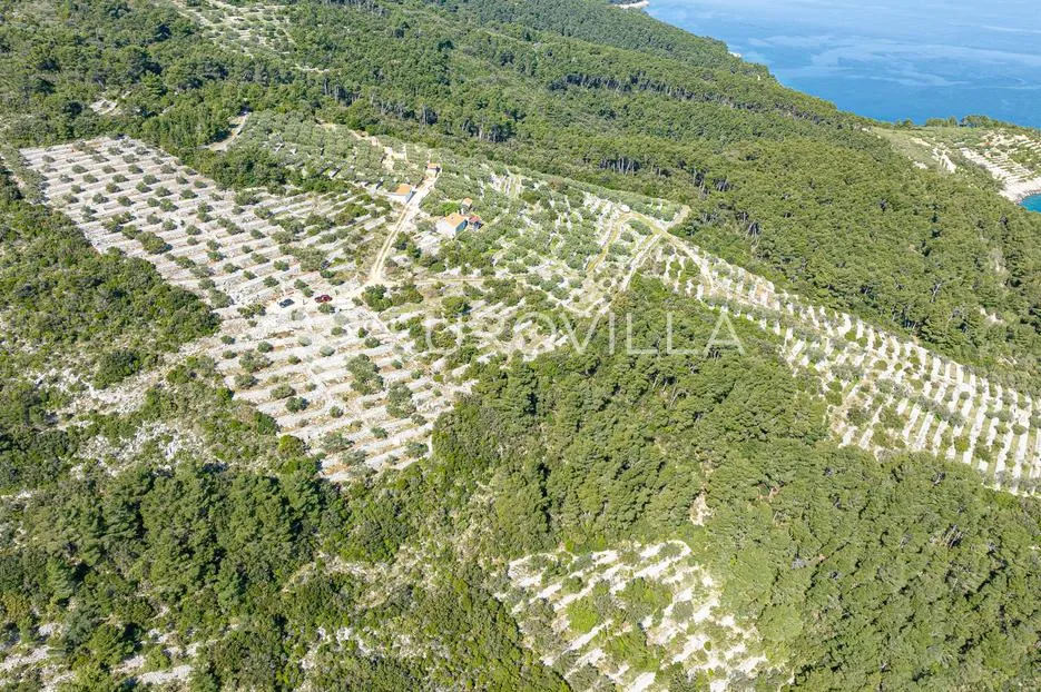otok korčula, blato, poljoprivredno zemljište s dvije ruševne kamene kućice. - slika 7