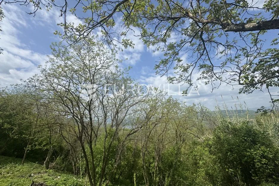 istra, gržani, kuća u nizu, štala s pogledom na butonigu, zemljište - slika 19