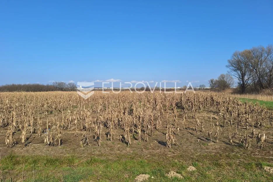 karlovac, drežnik, poljoprivredno zemljište 14200 m² - slika 2