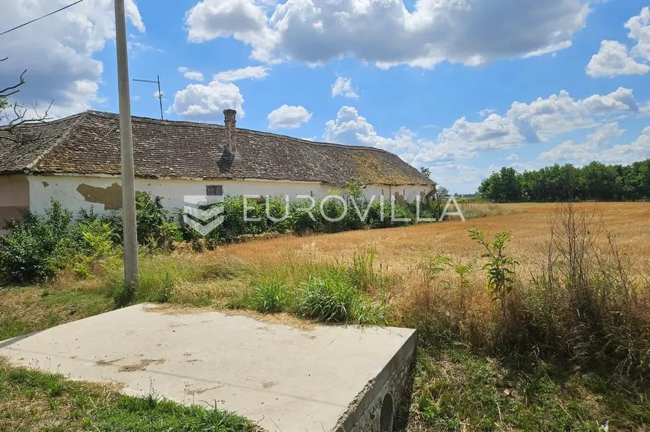 branjina, imanje na parceli od 7658 m² - slika 3