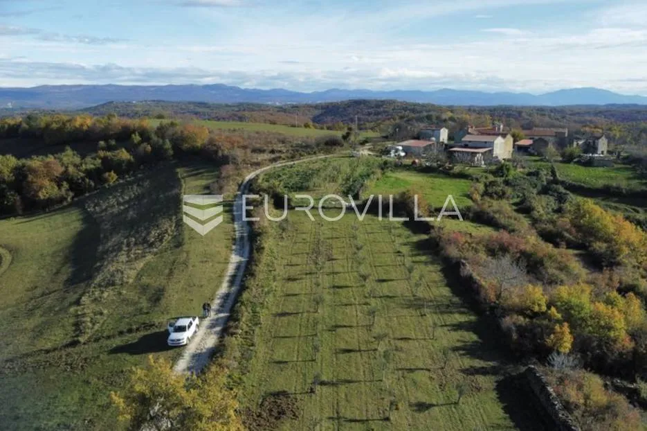 istra, momjan - zemljište 4137m2 od kojih je 1871m2 građevinsko - slika 3