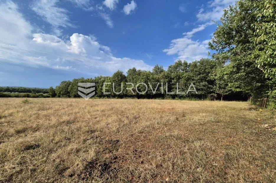 kaštelir, cerjani, poljoprivredno zemljište 24.118 m² s vlastitom šumom - slika 4