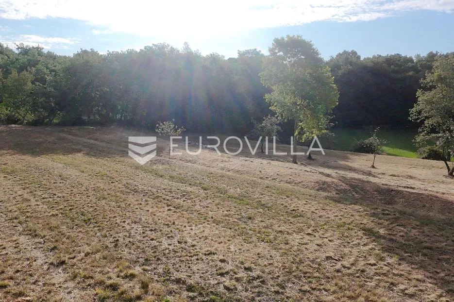 istra, tinjan, građevinsko zemljište nkp 3623 m2 - slika 24