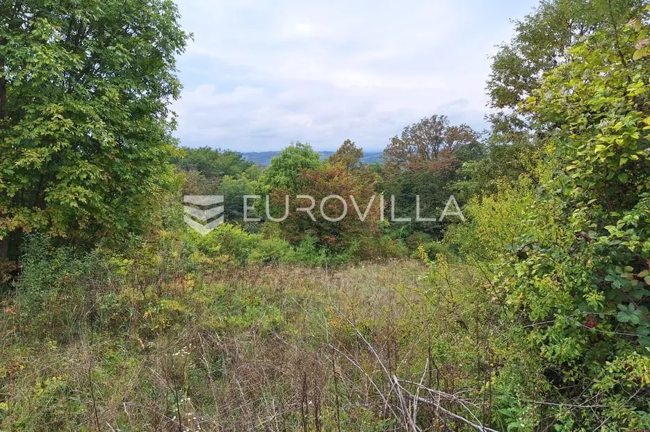 duga resa, mrežnički novaki, građevinsko zemljište 22300 m² - slika 2