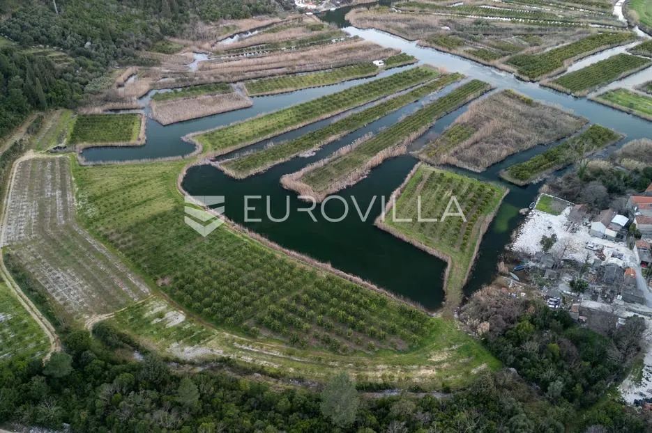 slivno, tuštevac, poljoprivredno zemljište 40000 m² - slika 3