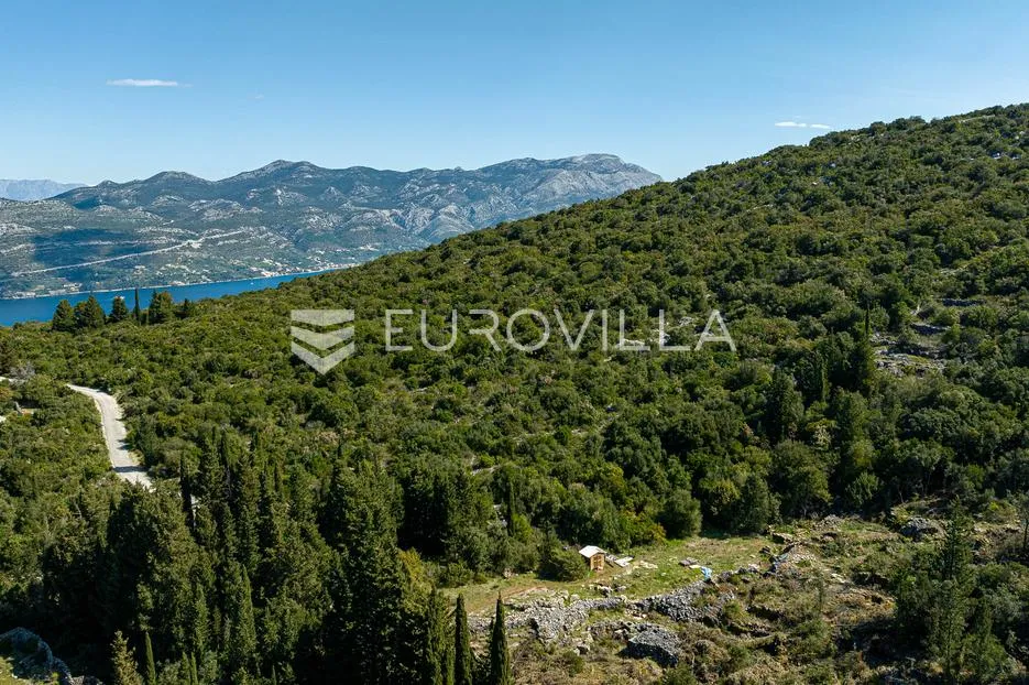 korčula, pupnat, poljoprivredno zemljište uz cestu površine 9.400 m² - slika 3