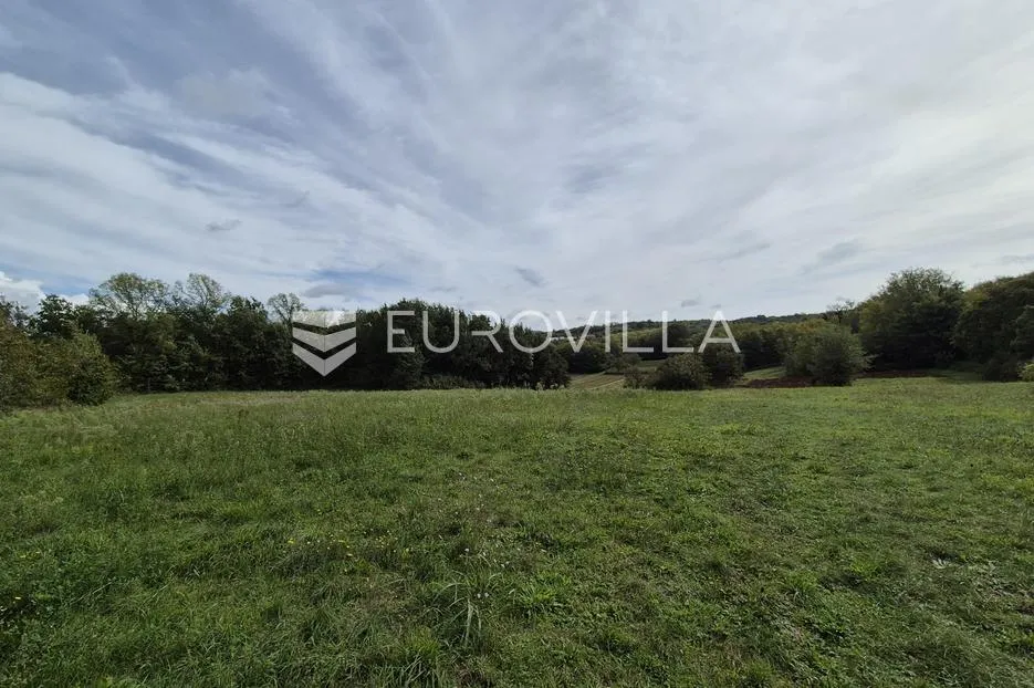 istra, rakotule, jedinstvena građevinska zemljišta 4.472 m² - slika 3