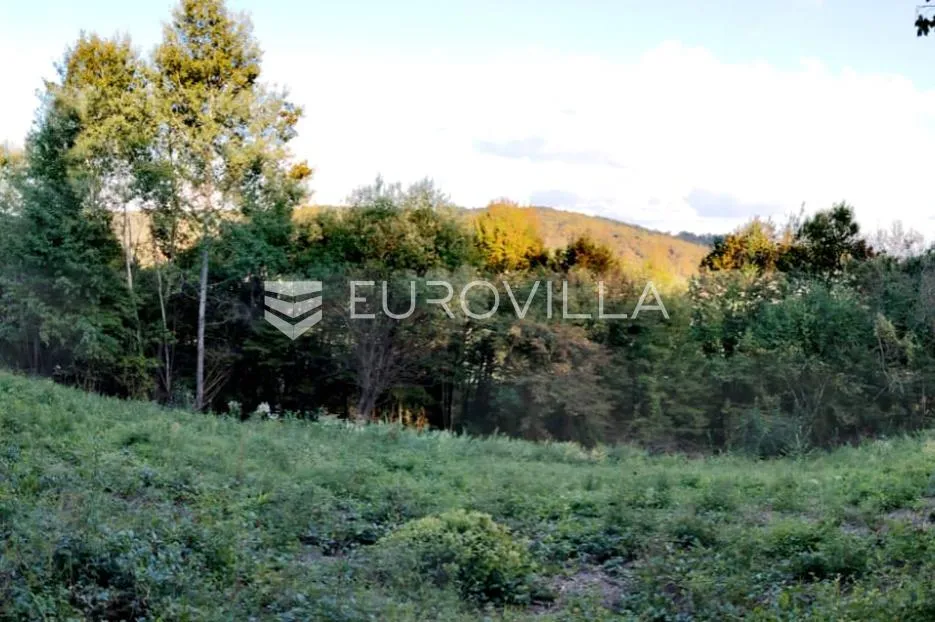 ozalj, grdun, poljoprivredno zemljište 8429 m² s 2 objekta - slika 6