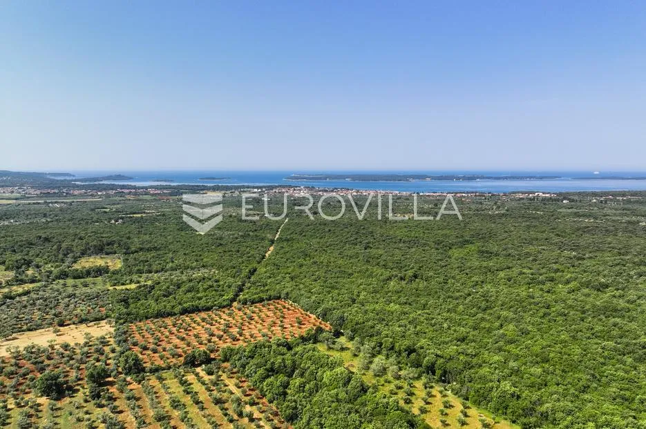 istra, vodnjan - građevinsko zemljište sa svim plaćenim komunalijama i građevinskom dozvolom 512 m2 - slika 5