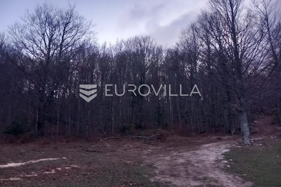 bribir, građevinsko zemljište 2.930 m² u izgrađenom dijelu naselja - slika 2
