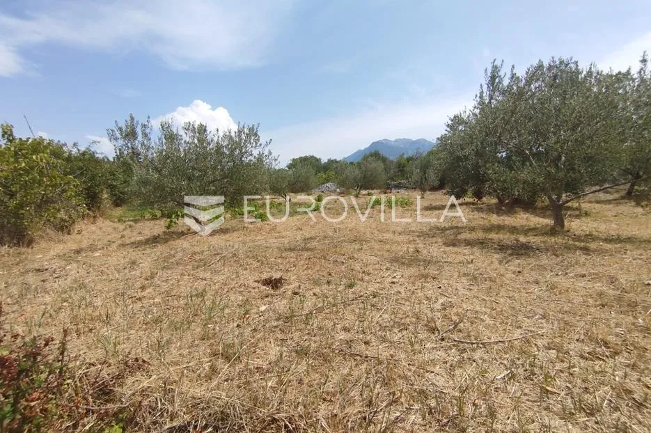 šestanovac, atraktivna parcela uz put, 900 m², mogućnost obročne otplate - slika 6