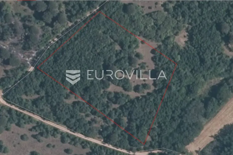 istra, labinci - poljoprivredno zemljište 11204 m2 - slika 2